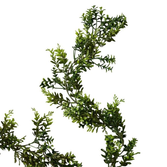 Ashland Dark Green Boxwood Garland 6 Feet - Picture 3 of 3